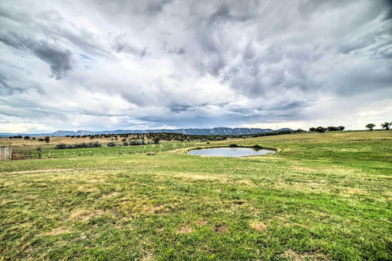 Walkout Apartment With Mtn View On Cortez Ranch 외부 사진