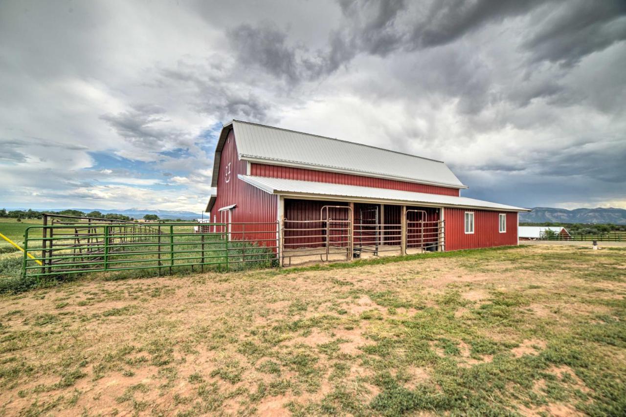 Walkout Apartment With Mtn View On Cortez Ranch 외부 사진
